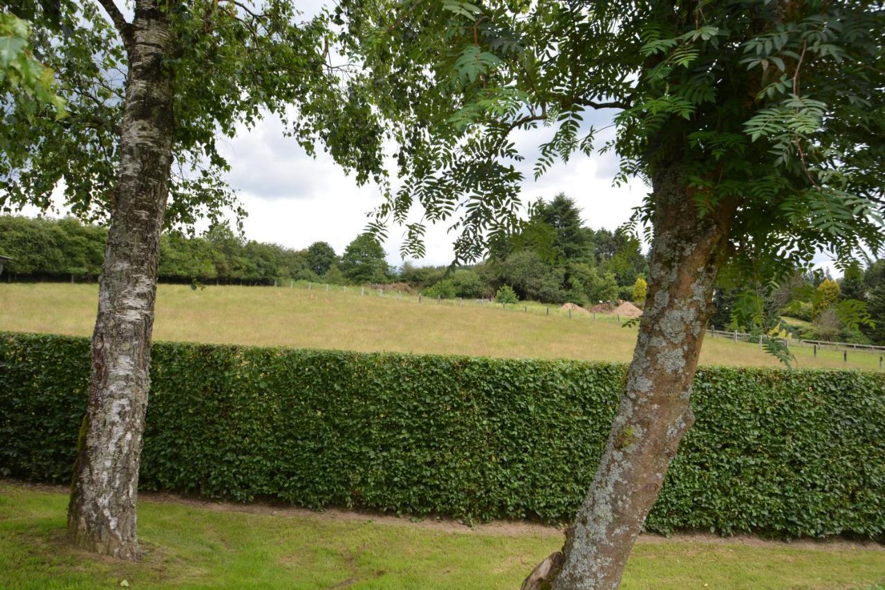 Achouffe - LACHENAL Exterior foto